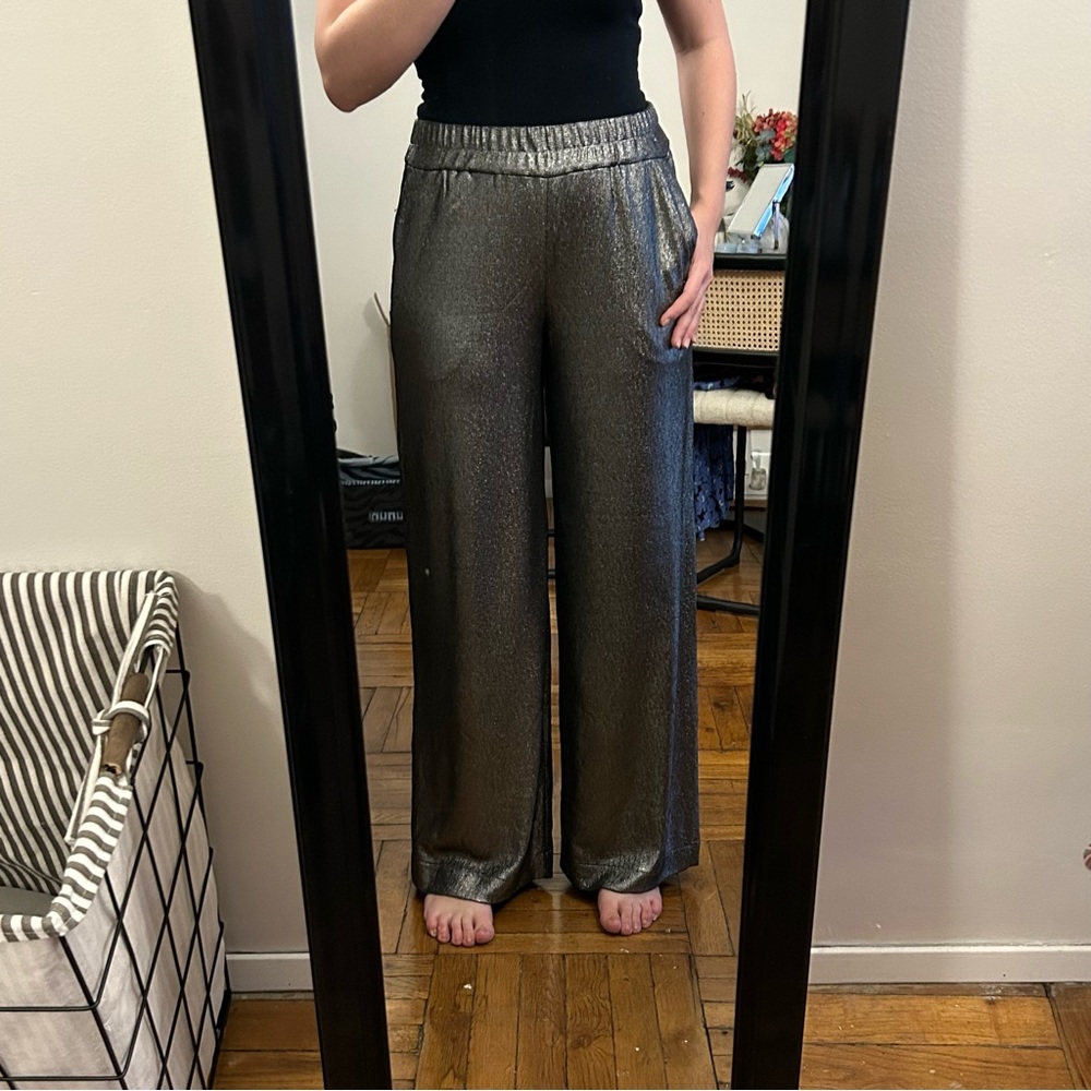 Express Silver Shimmer Pants